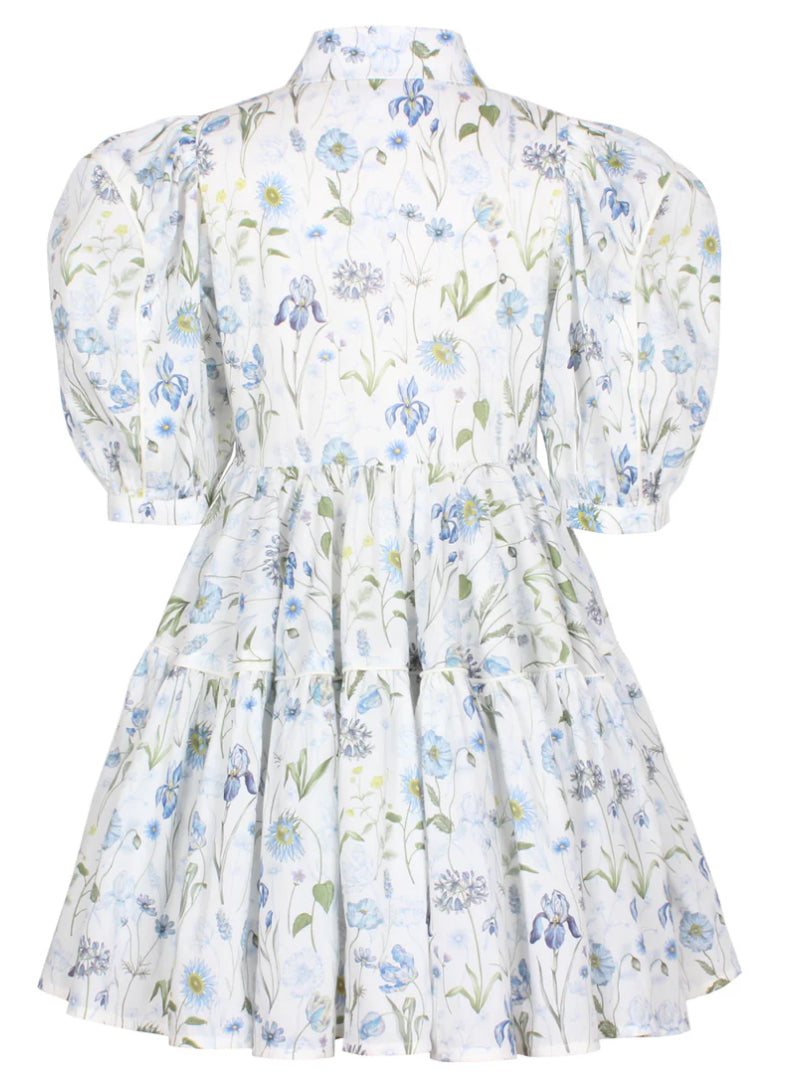 Jessie and James Blue Floral Dress