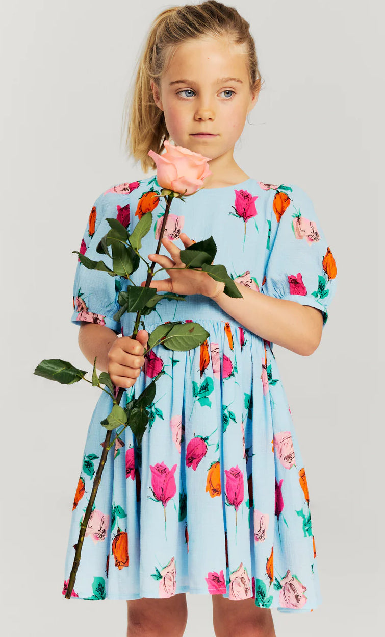 Morley Welsa Sky Blue Rose Printed Dress