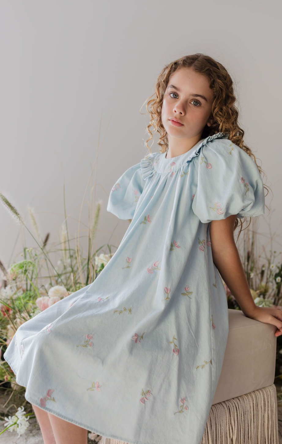 Steph Embroidered Chambray Babydoll Dress