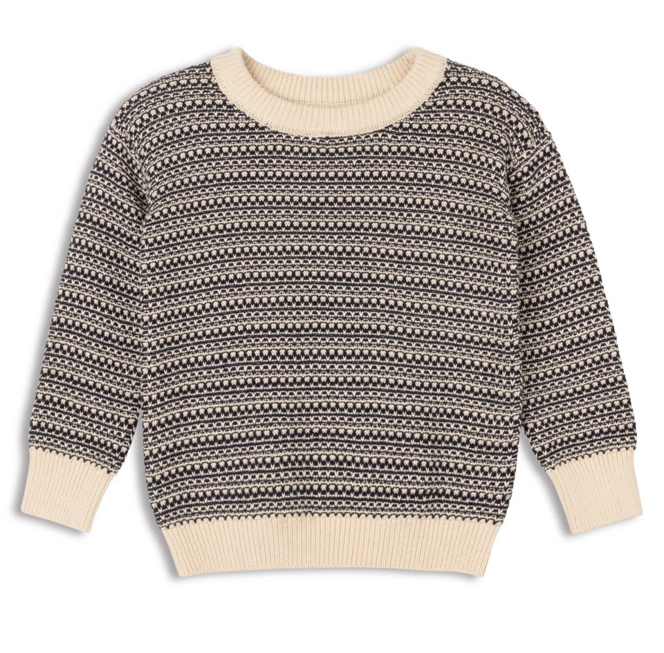 Looms Distressed Knit Navy/Ivory Sweater