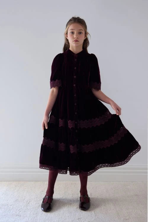 Petite Amalie Lace Velvet Dark Cherry Midi Dress