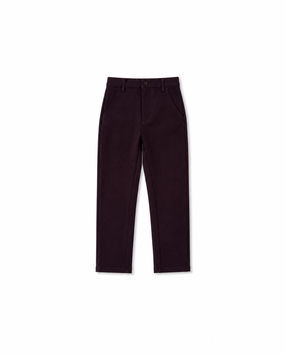 Le Bourdon Brown Solid Fitted Pants