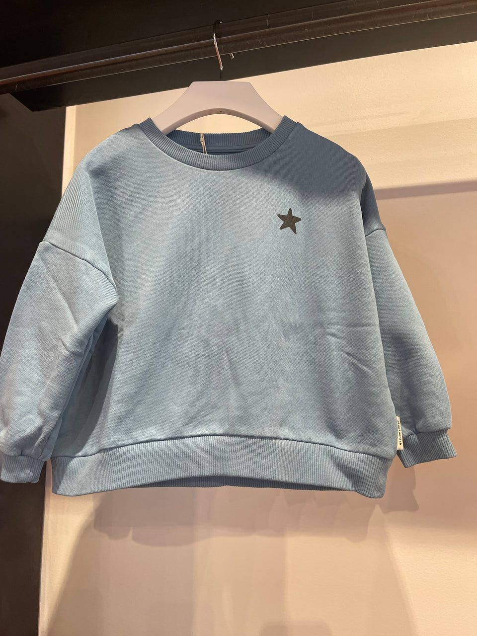 Piupiuchick Blue Star Logo Sweatshirt