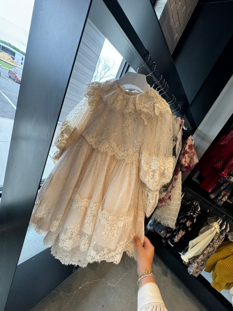 Petite Amalie Cream Lace Applique Tulle Dress