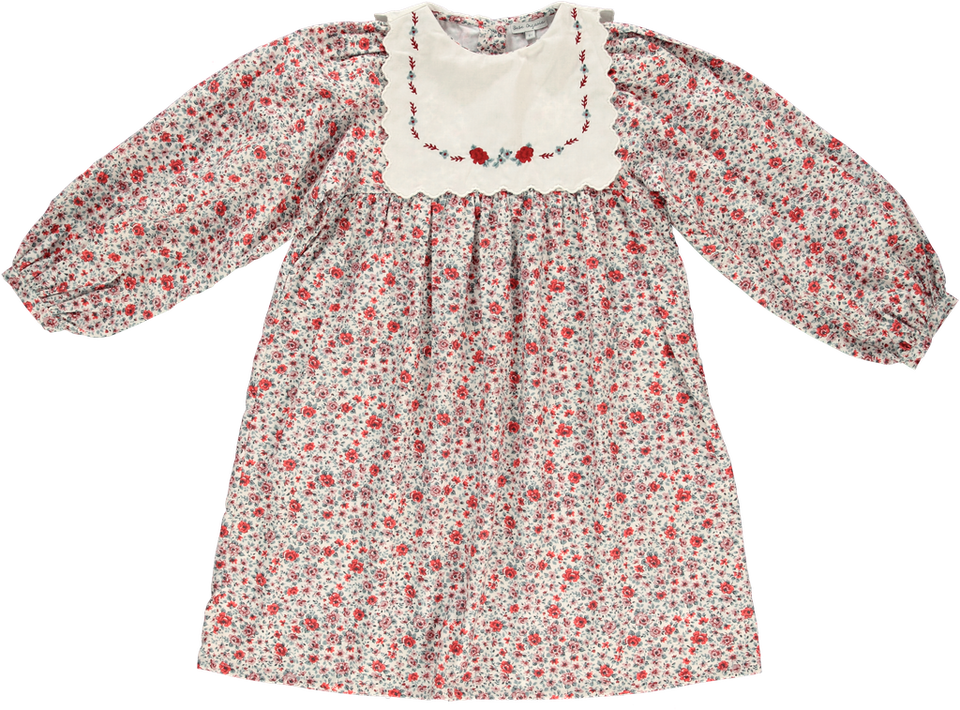 Bebe Organic Clementine Sweet Roses Dress