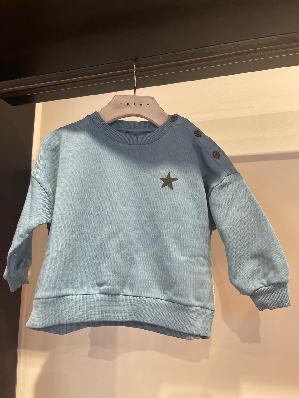 Piupiuchick Baby Blue Star Logo Sweatshirt