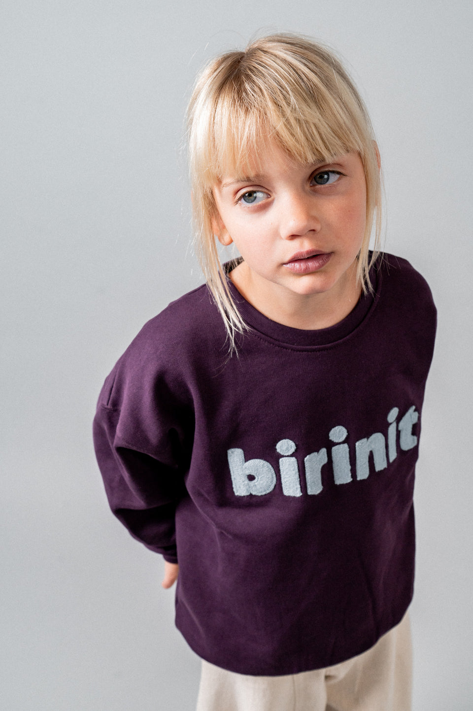 Birinit Violet Sweatshirt