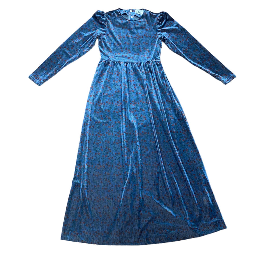 Froo Blue Floral Velvet Maxi Dress