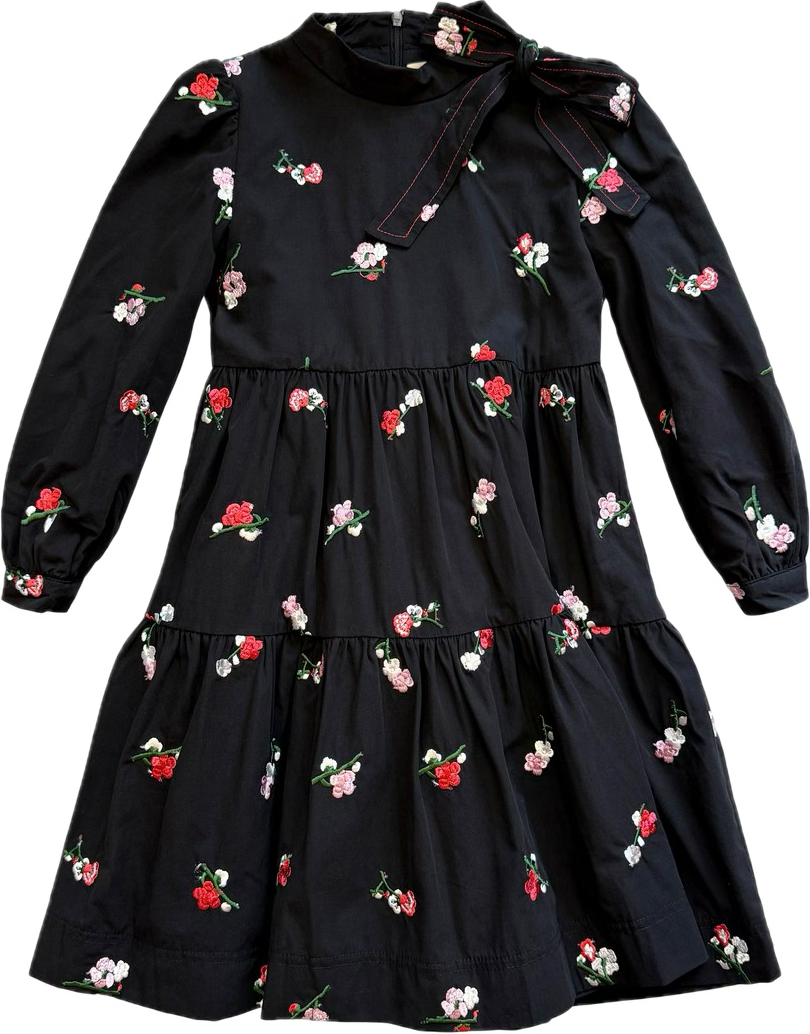 Teela Black Embroidered Dress