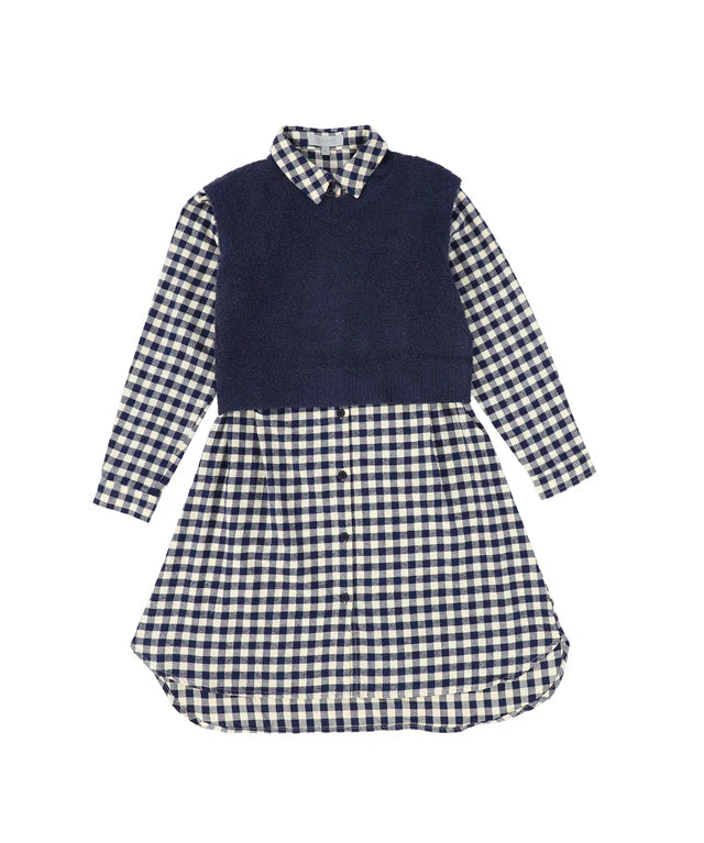 Bace Navy Flannel Gingham Overlay Shirt Dress