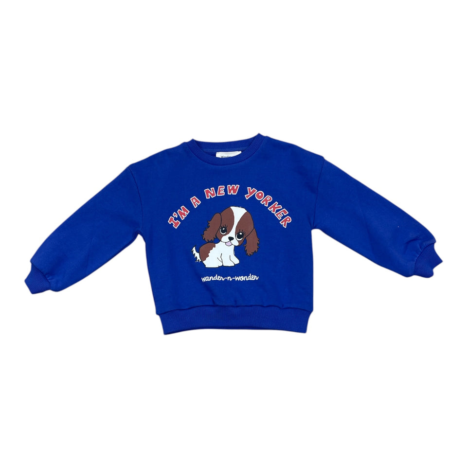 Wander and Wonder Periwinkle Doggy Sweatshirt