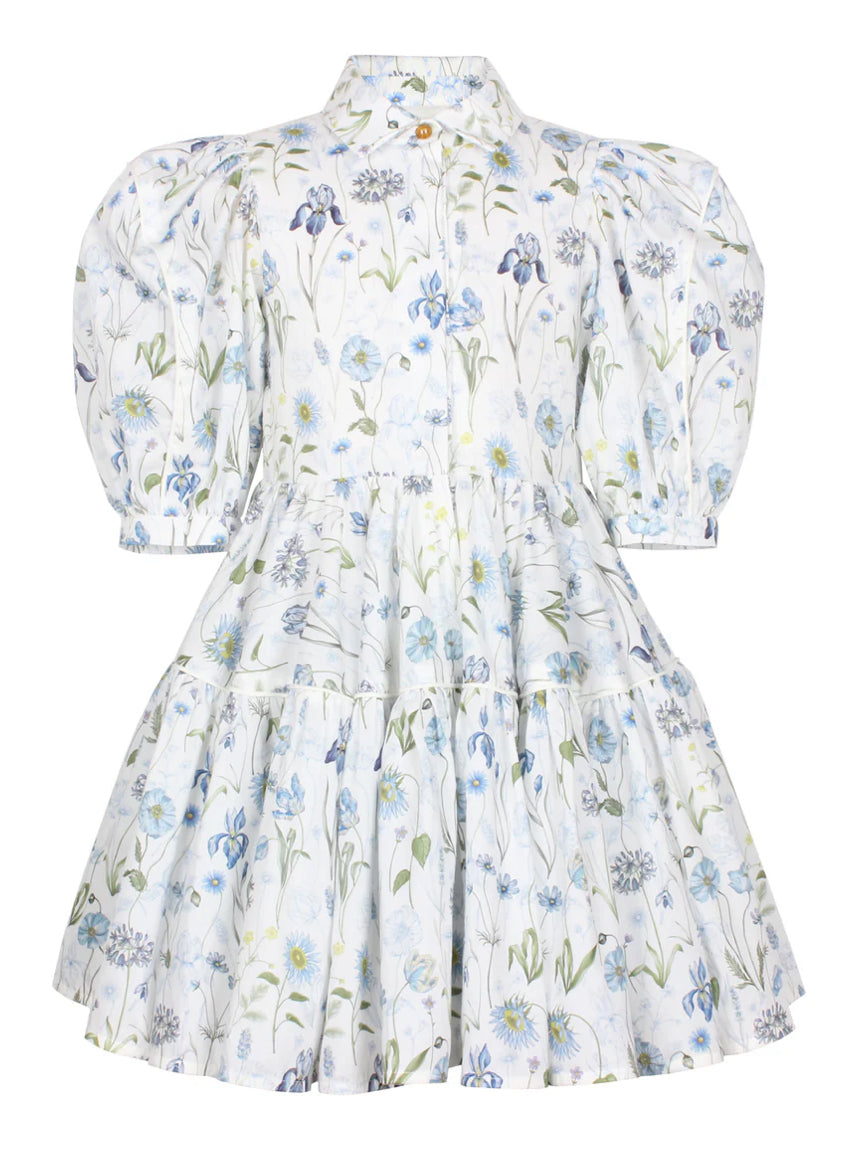 Jessie and James Blue Floral Dress