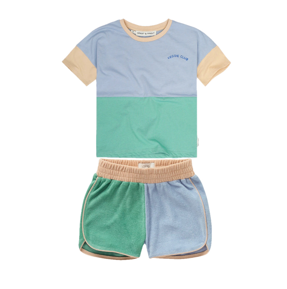 Sproet and Sprout Blue Colorblock Tshirt w/Terry Short Set
