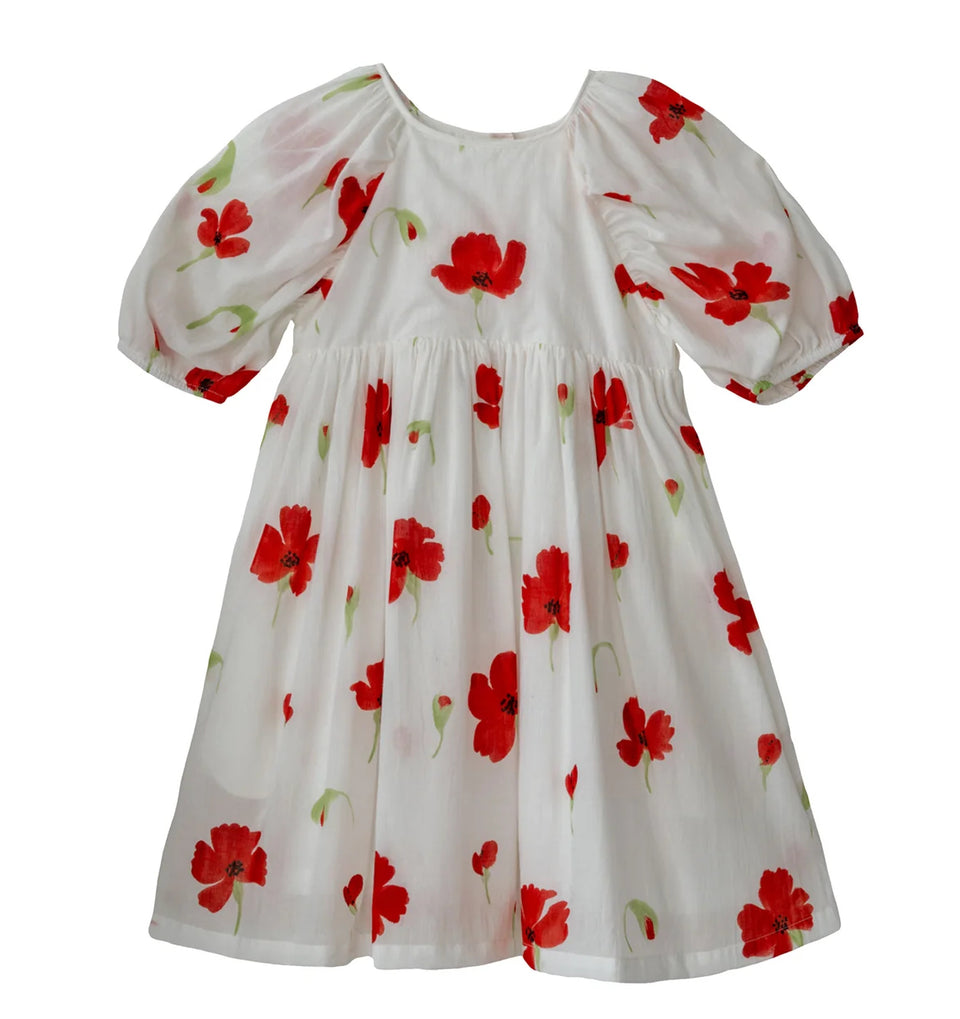 Little Paisley People Poppy Dress