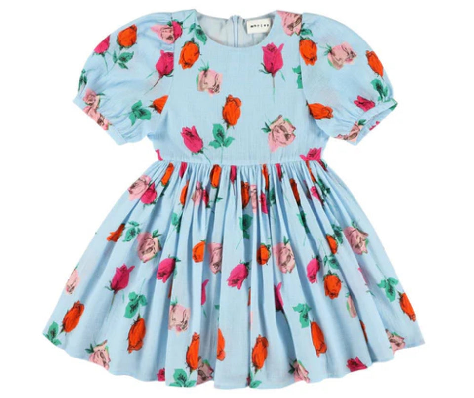 Morley Welsa Sky Blue Rose Printed Dress