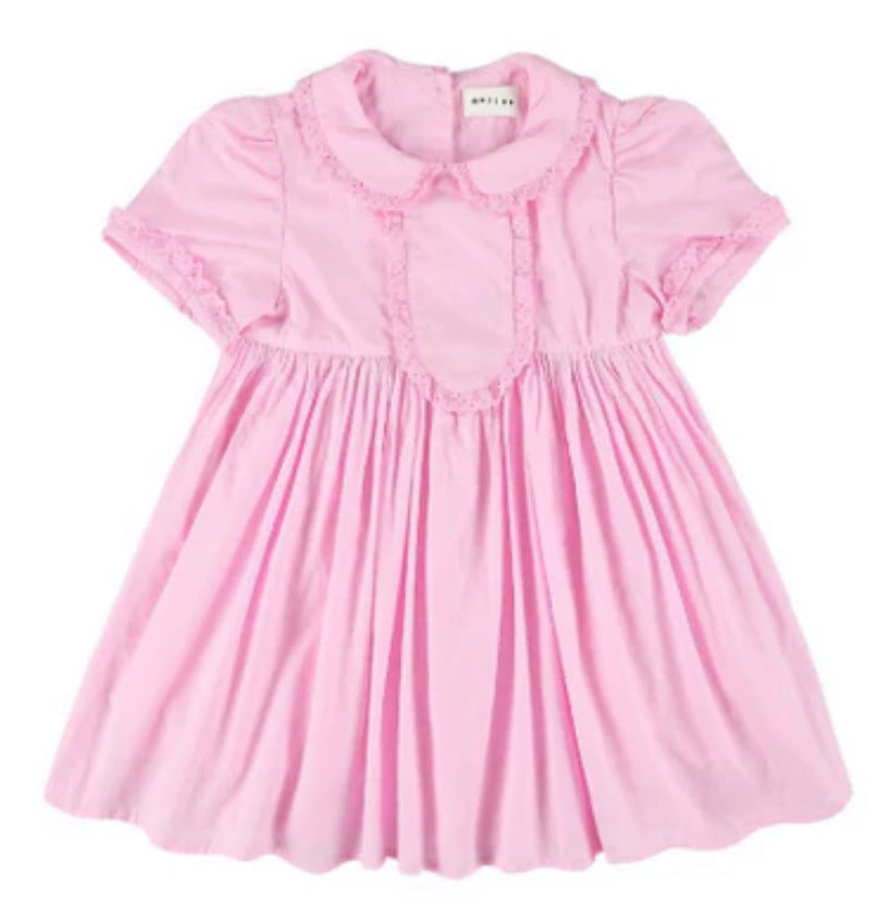 Morley Sorrent Pink Dress W/ Lace Ribbon