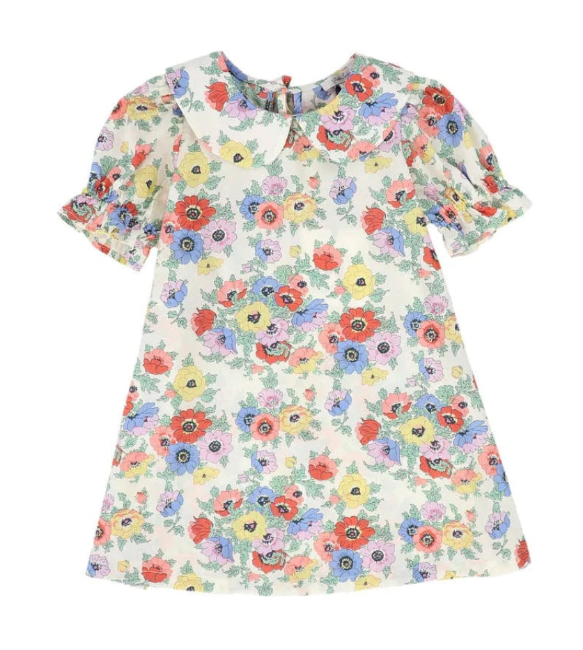 Piccola Ludo Aura Multicolor Dress