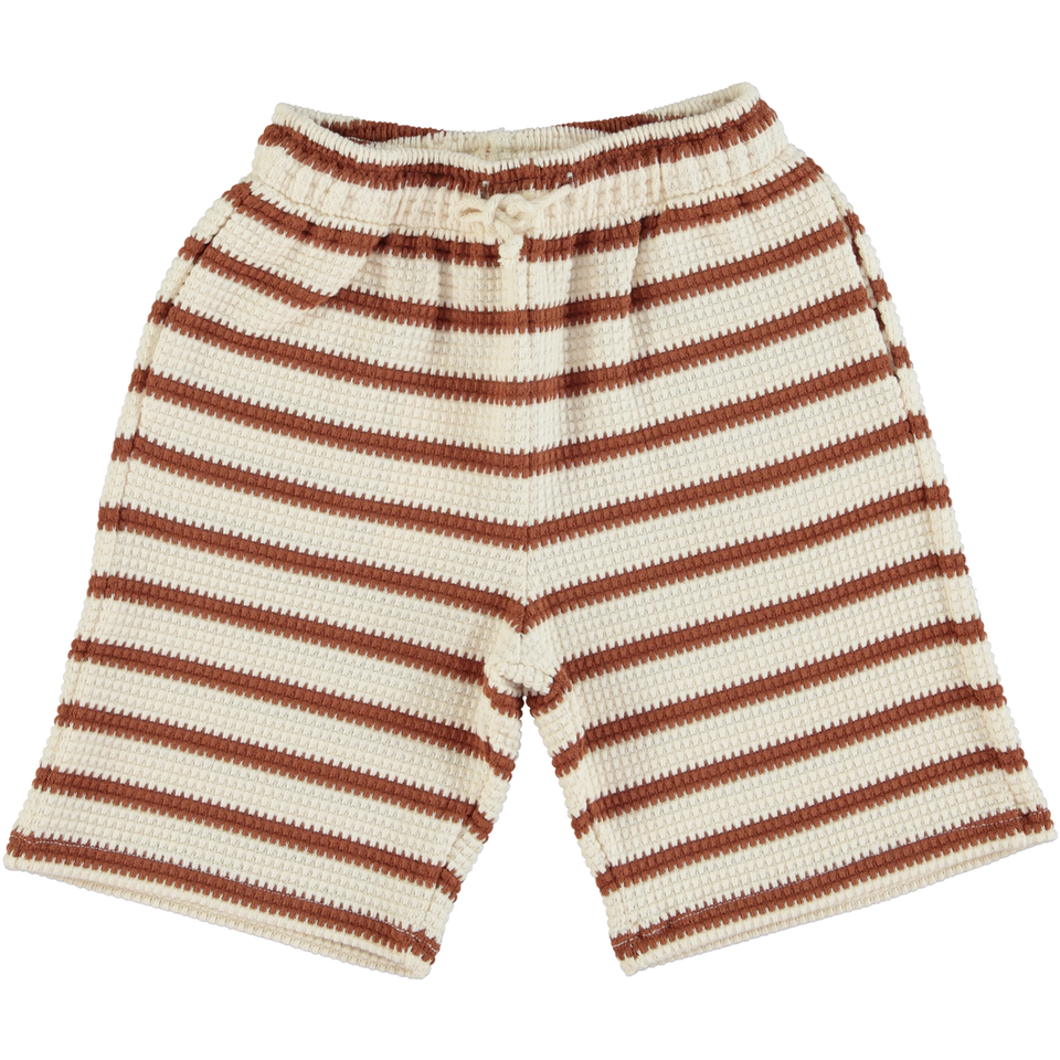 Bebe Organic Brown Striped Shorts