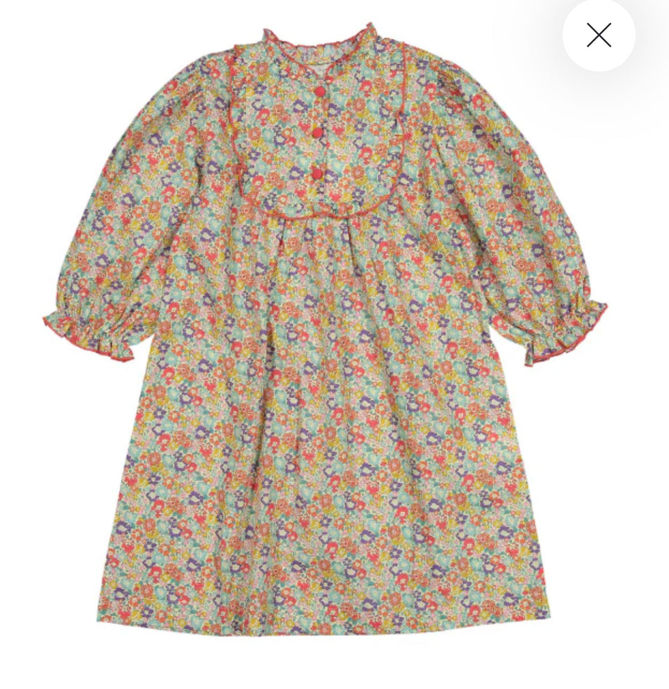 Bebe Organic Phoebe Dress Liberty Michelle- 3/4 Sleeves