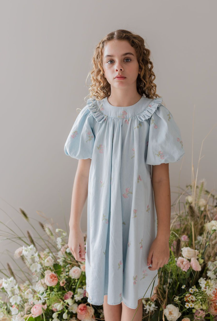 Steph Embroidered Chambray Babydoll Dress