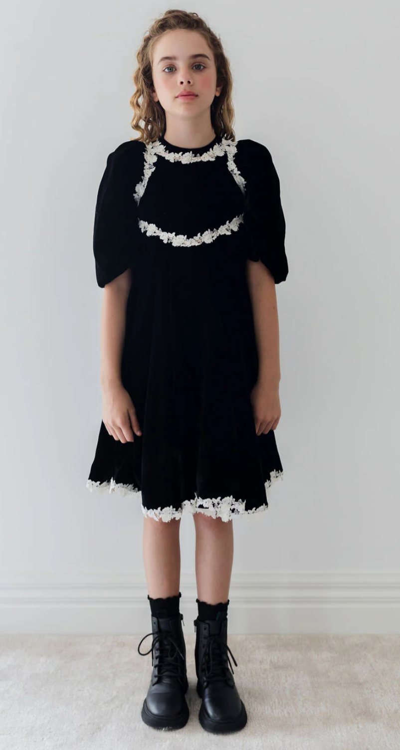 Petite Amalie Black/Cream Rose Lace Velvet Dress