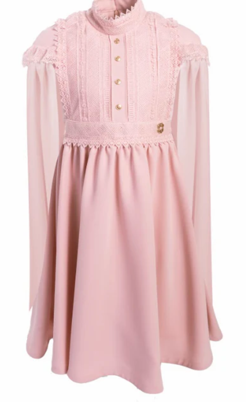 Elie Saab Pink Lace Crepe Dress