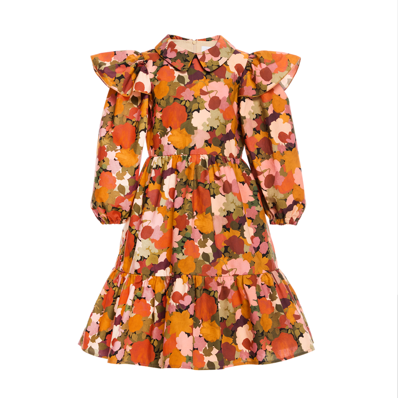 Paade Mode Peter Pan Collar Multicolor Sienna Dress