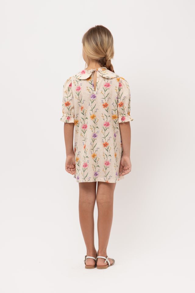 Piccola Ludo Cream Floral Collar Aura Dress