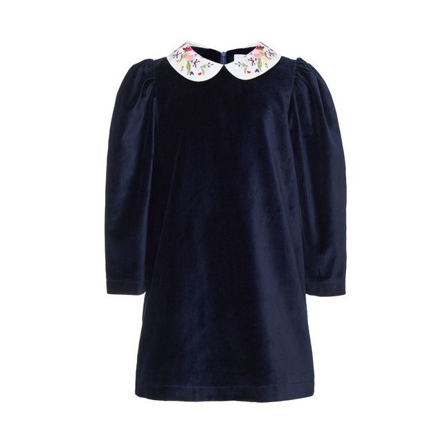 Paade Mode Haven Dark Blue A- Line Velvet Embroidered Collar Dress